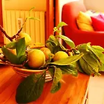 Alojamento de Acomodação e Pequeno-almoço Albachiara