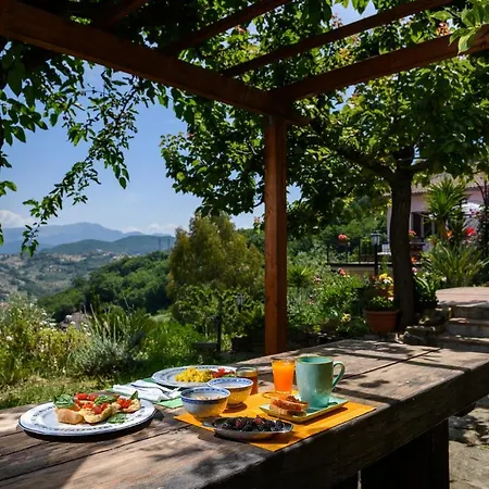 Albachiara Отель типа 