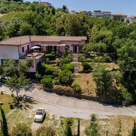 Albachiara