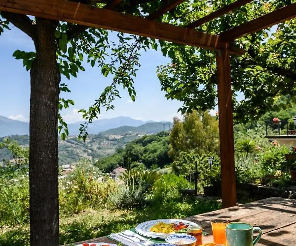 Albachiara 4*